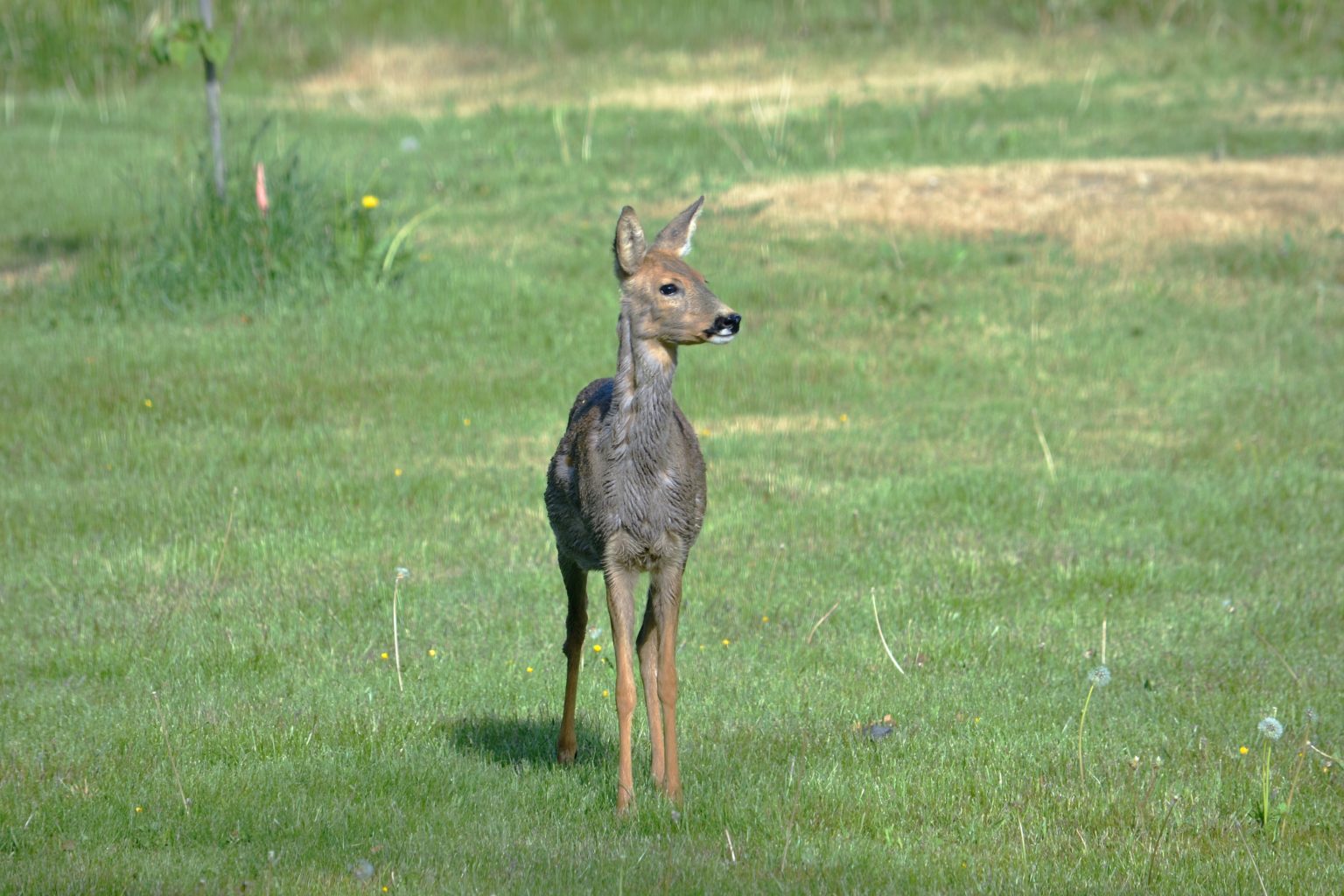 Valokuvaaja: satu välimaa