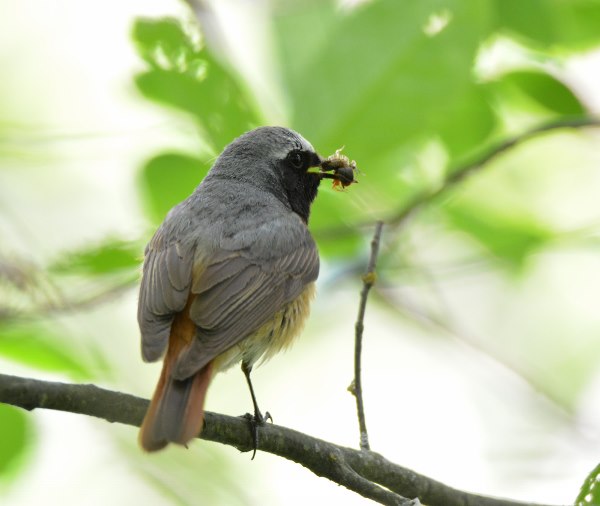 Valokuvaaja: Arja Koffert