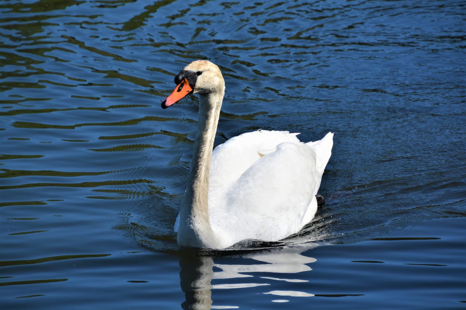 Valokuvaaja: Maija Savolainen