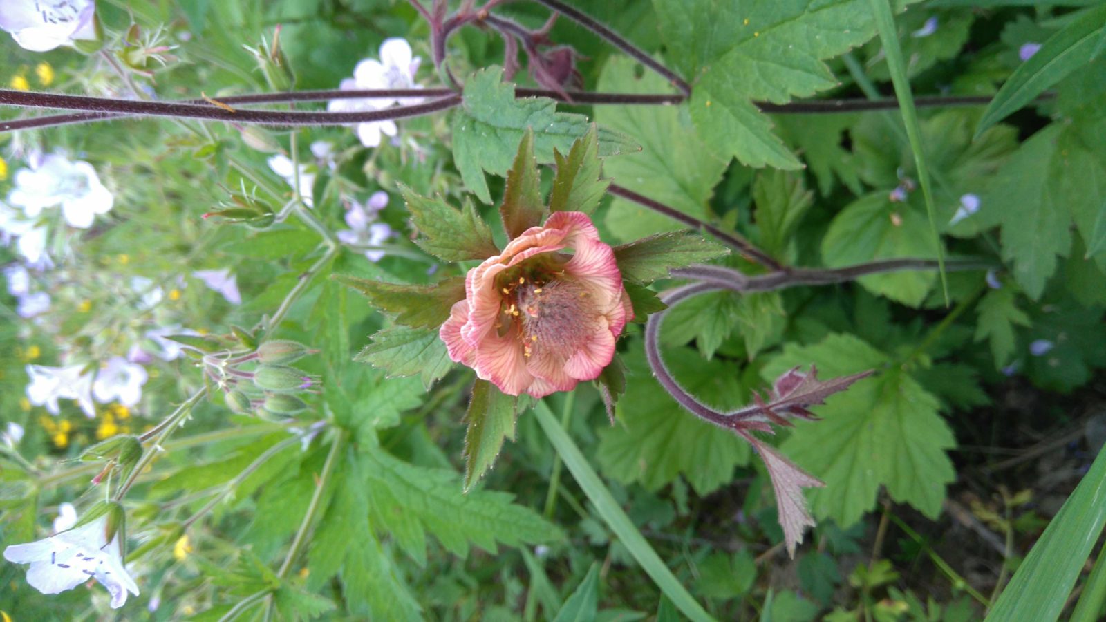 Valokuvaaja: Reetta Ryymin