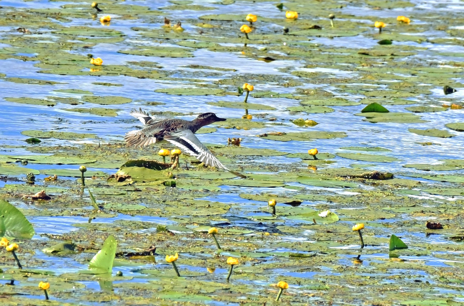 Valokuvaaja: Esko Pihl