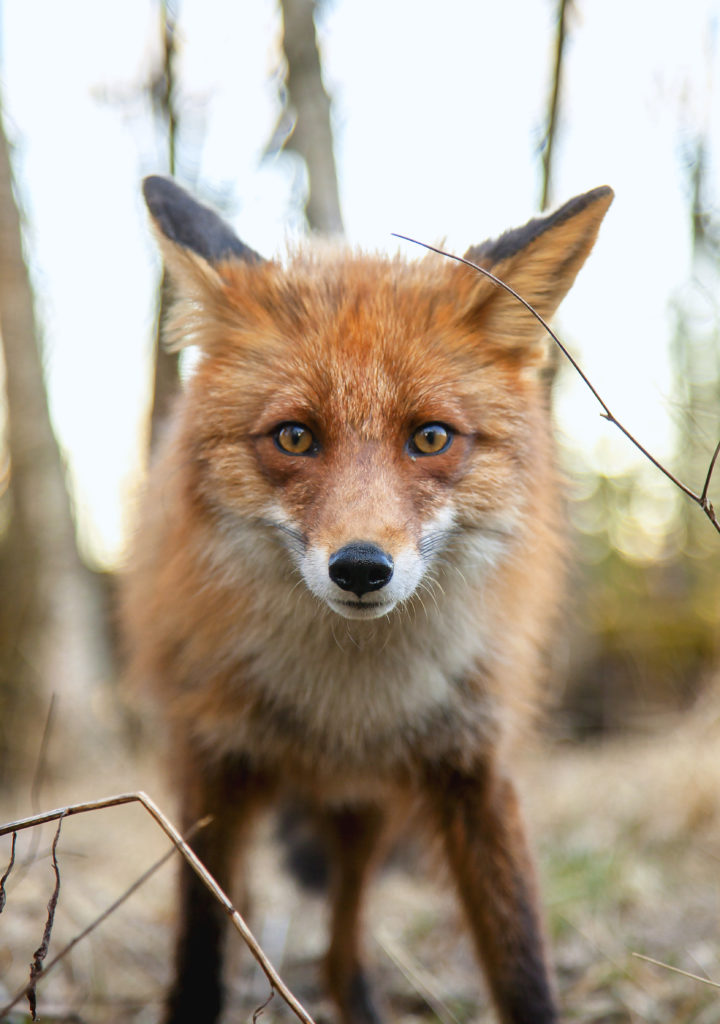 Valokuvaaja: Heli Perunka