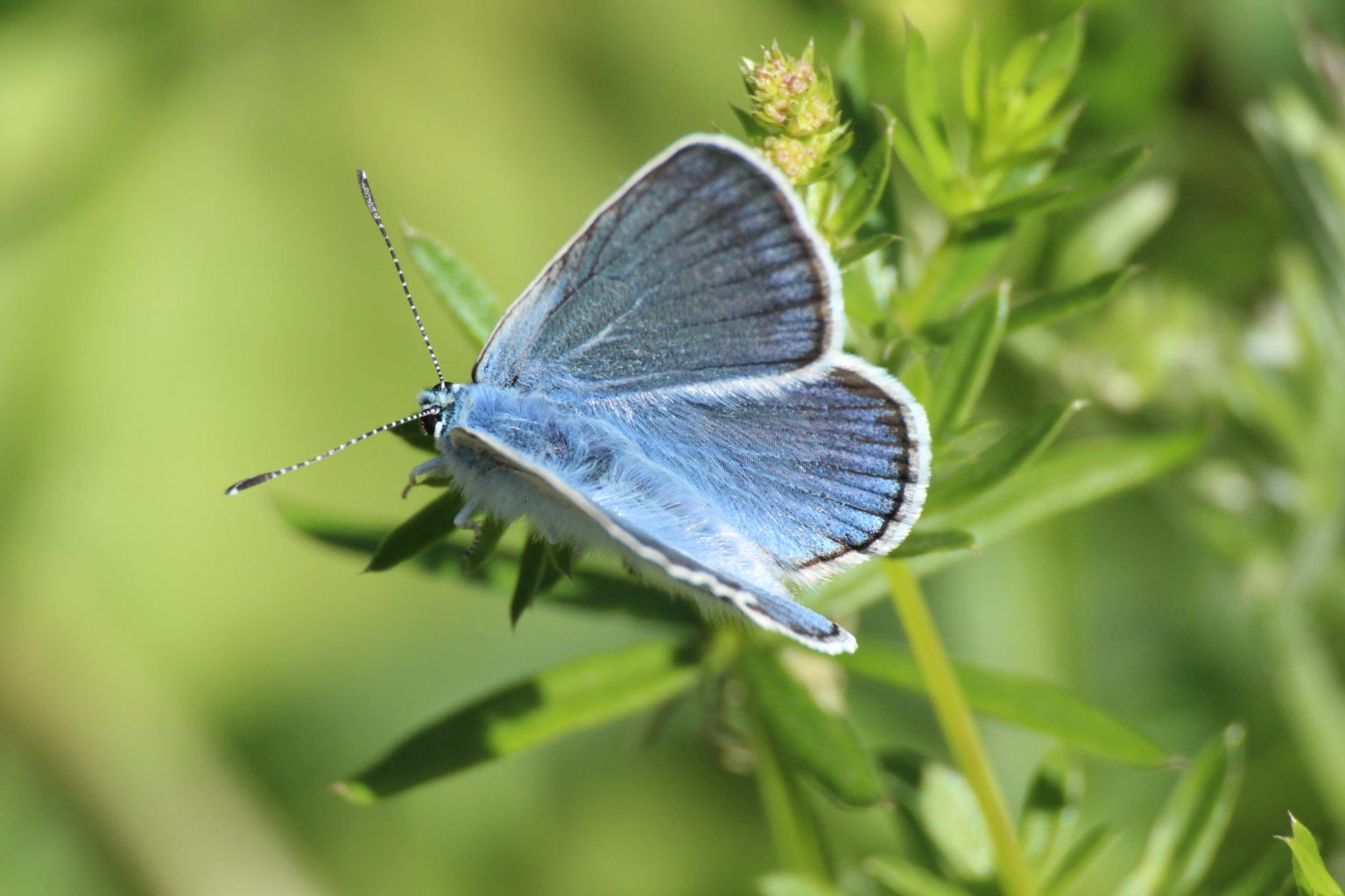 Valokuvaaja: Miia Pesu