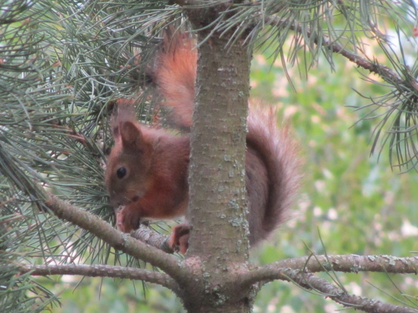 Valokuvaaja: Risto Kangassalo