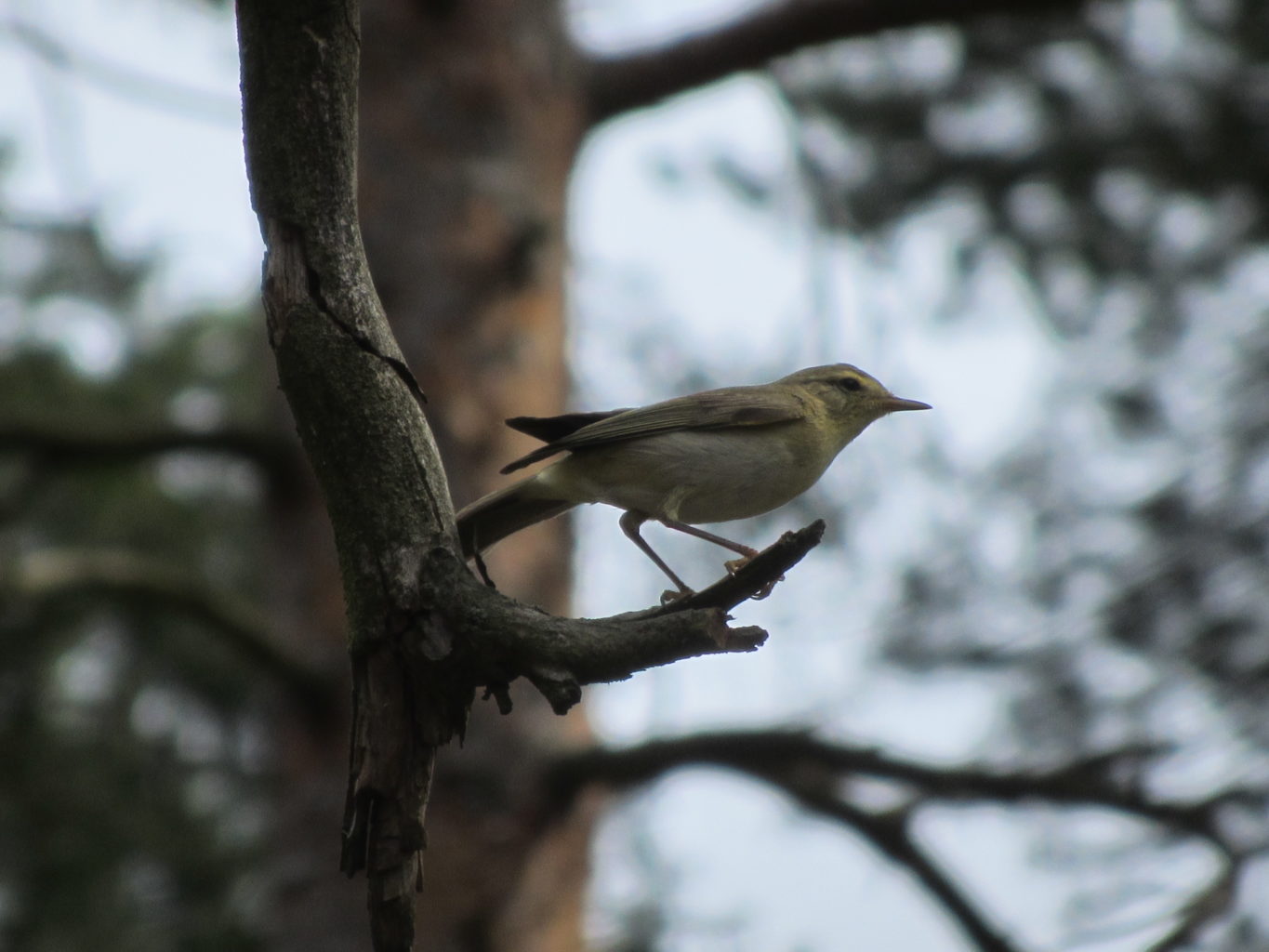 Valokuvaaja: Risto Kangassalo
