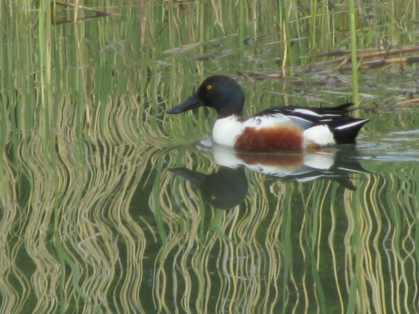 Valokuvaaja: Risto Kangassalo