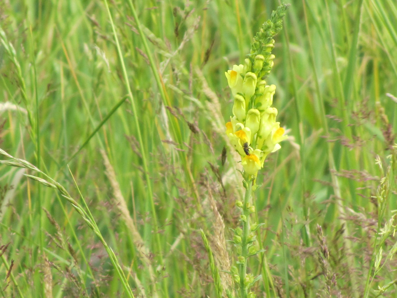 Valokuvaaja: Risto Kangassalo