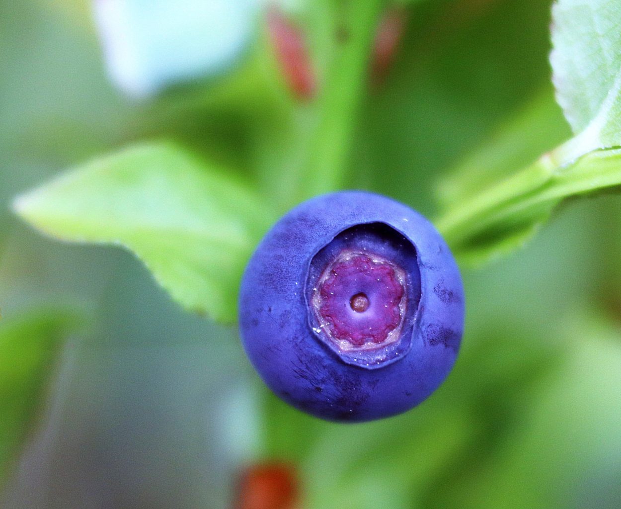 Valokuvaaja: Irja Lehtinen