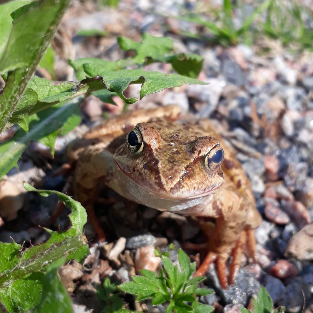 Valokuvaaja: Emilia Saari