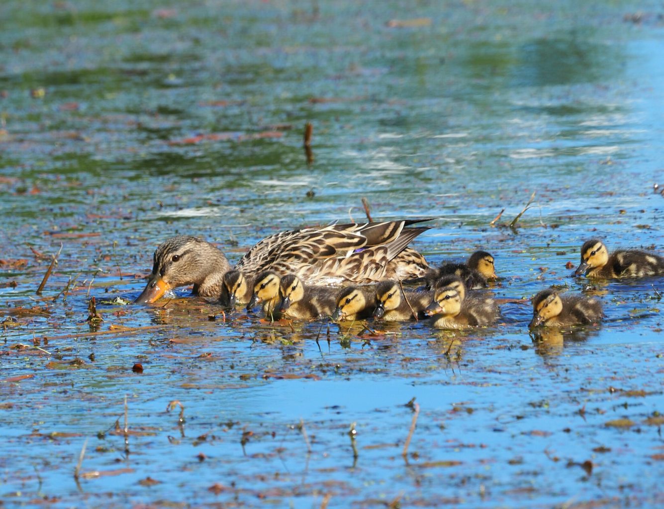 Valokuvaaja: Irma Mikkola Valokuvaaja: Irma Mikkola