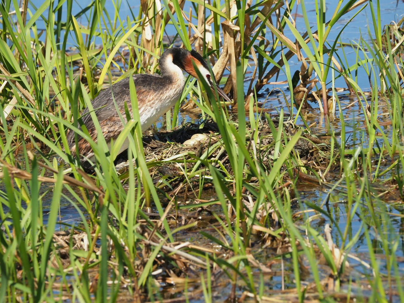Valokuvaaja: Irma Mikkola