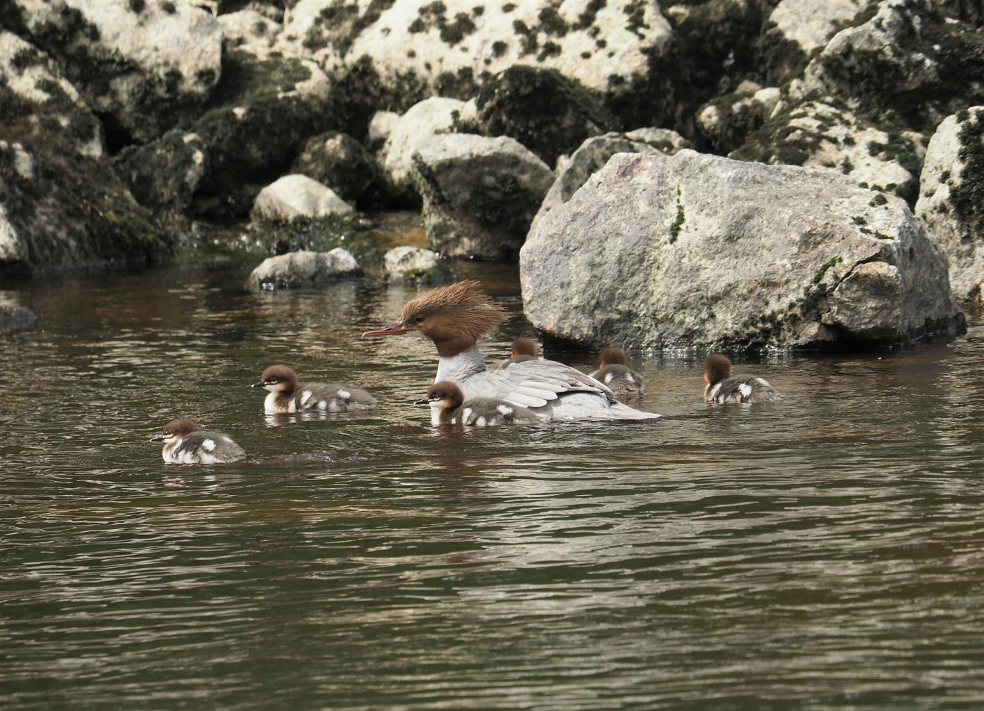 Valokuvaaja: Irma Mikkola