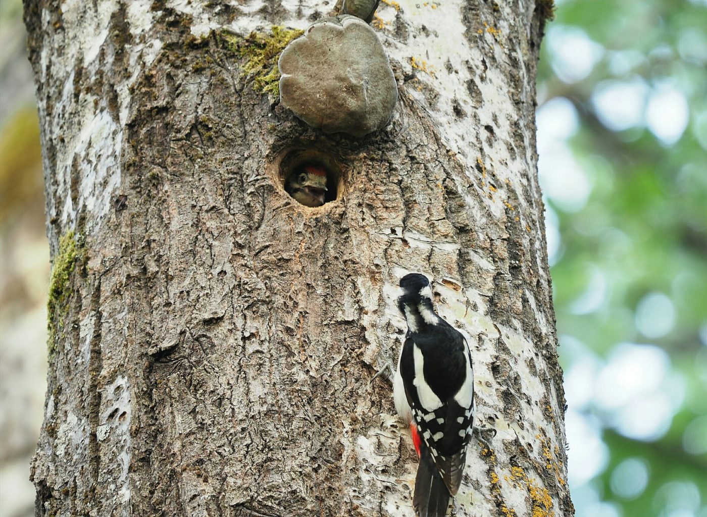 Valokuvaaja: Irma Mikkola Valokuvaaja: Irma Mikkola