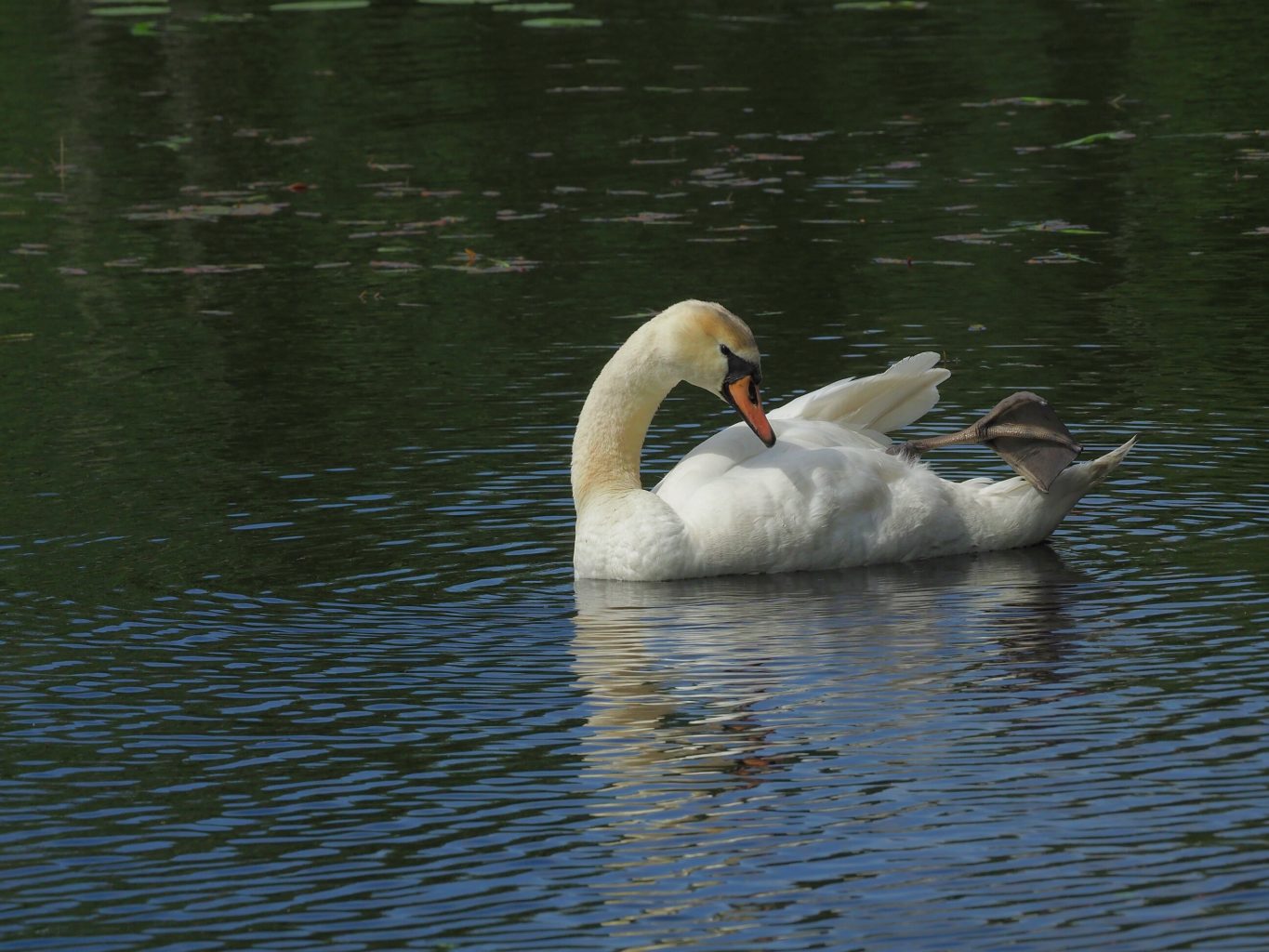 Valokuvaaja: Irma Mikkola
