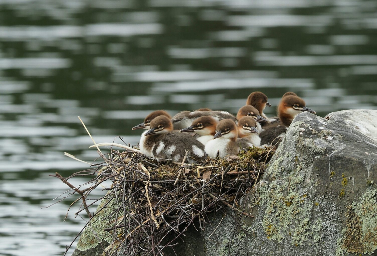 Valokuvaaja: Irma Mikkola Valokuvaaja: Irma Mikkola