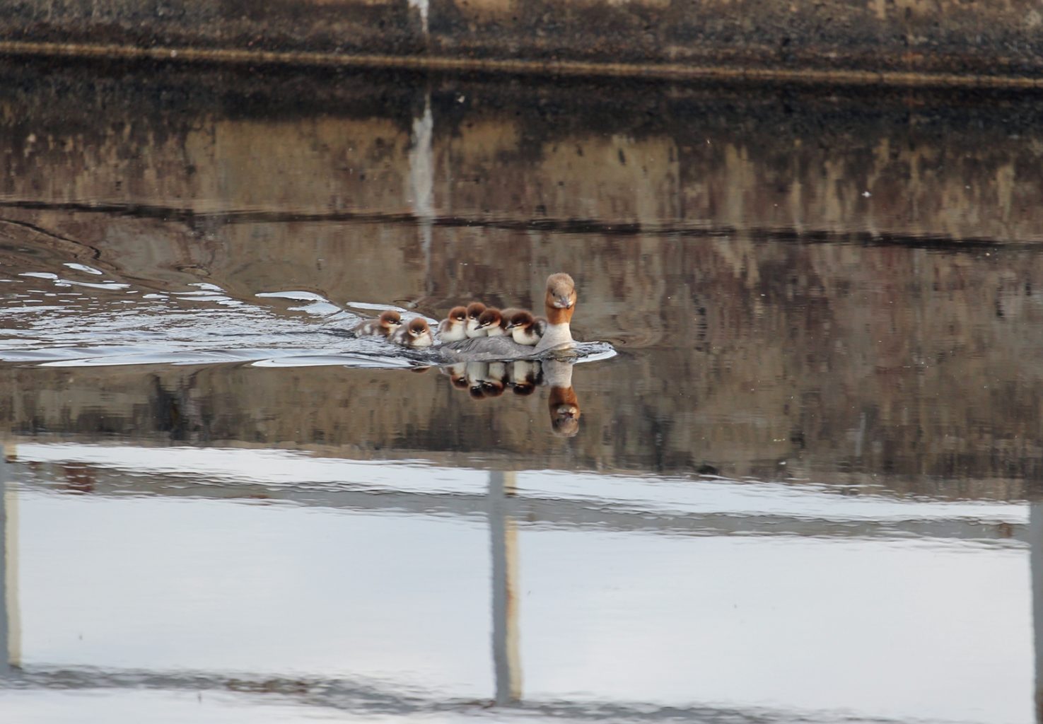 Valokuvaaja: Juha Pitkänen