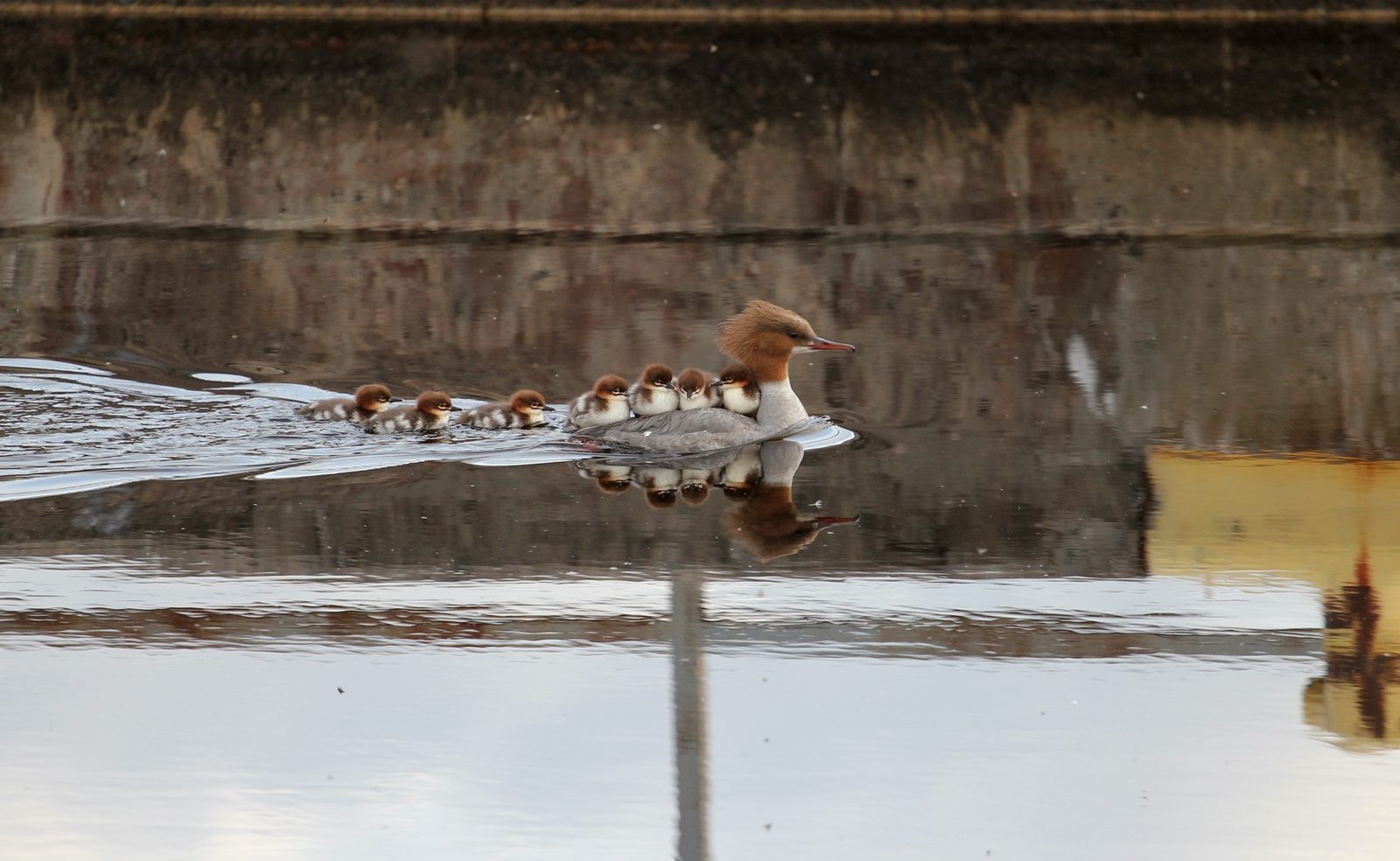 Valokuvaaja: Juha Pitkänen