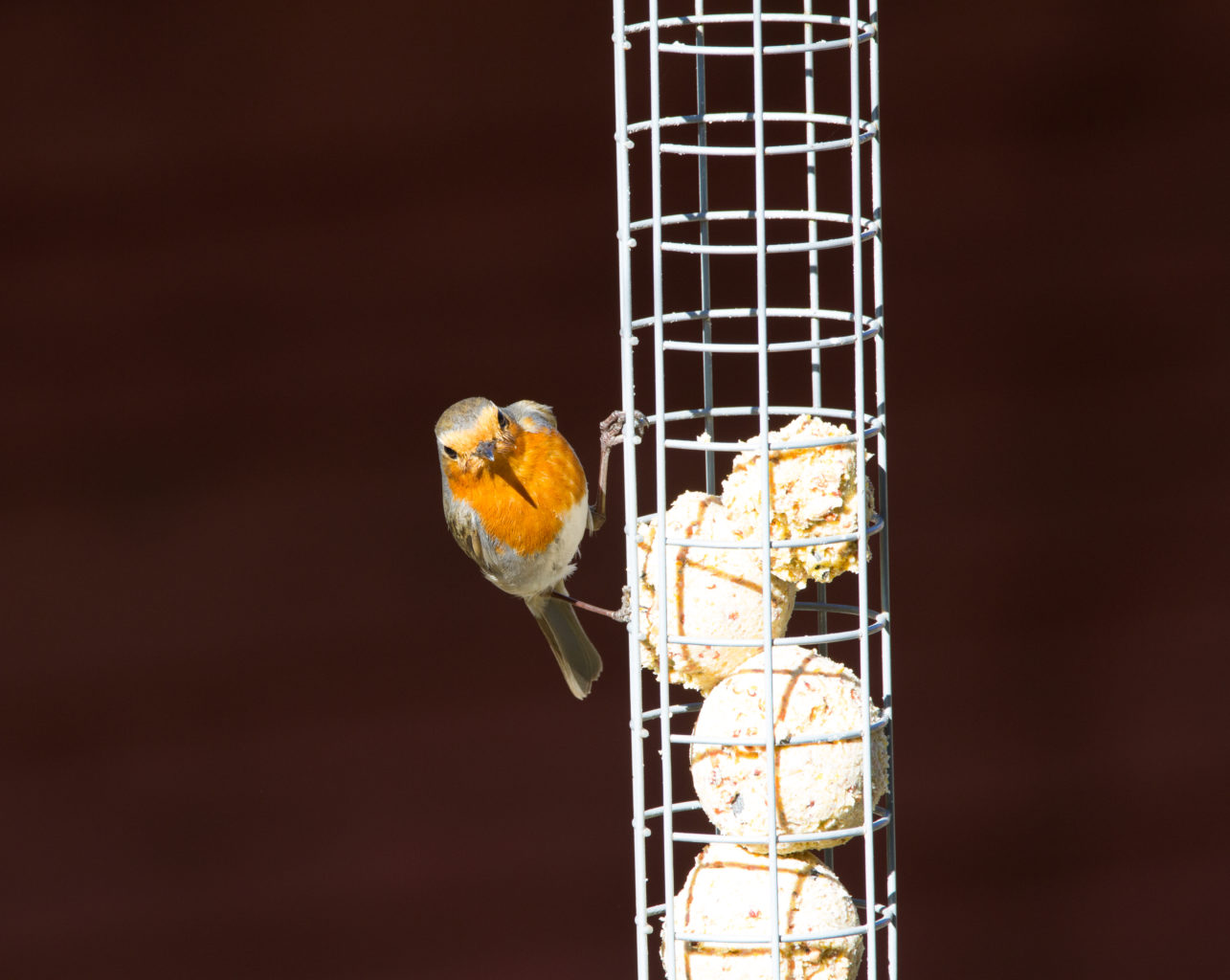 Valokuvaaja: Päivi Punta