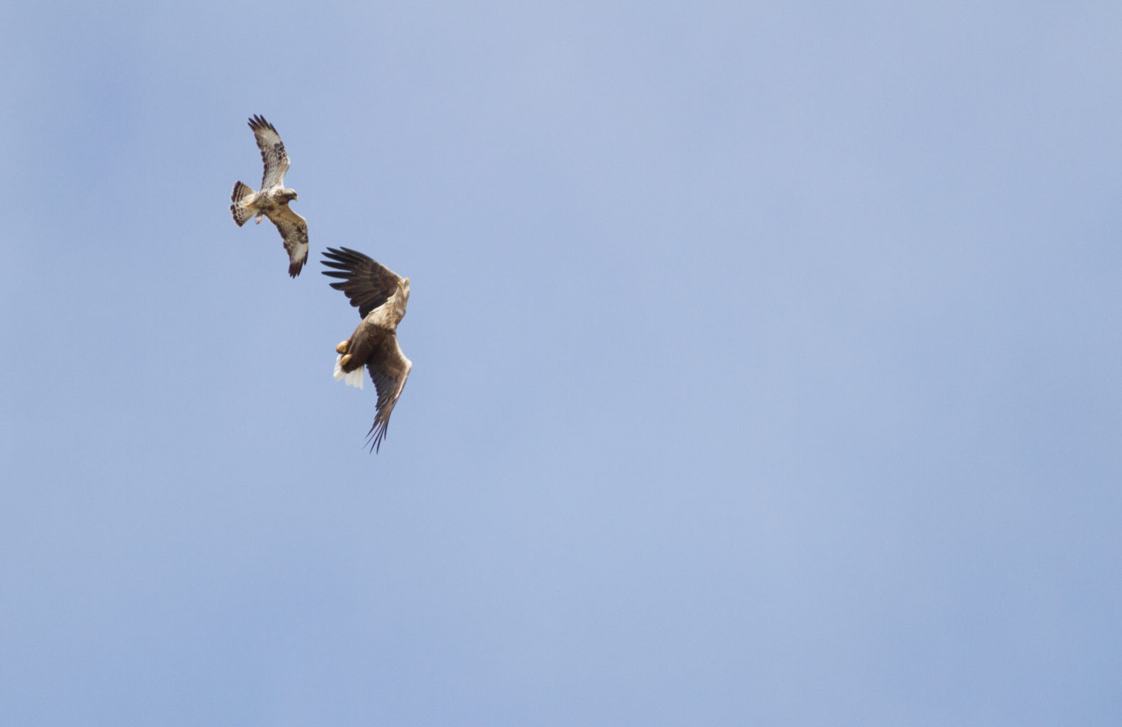 Valokuvaaja: Henrikki Hetemaa