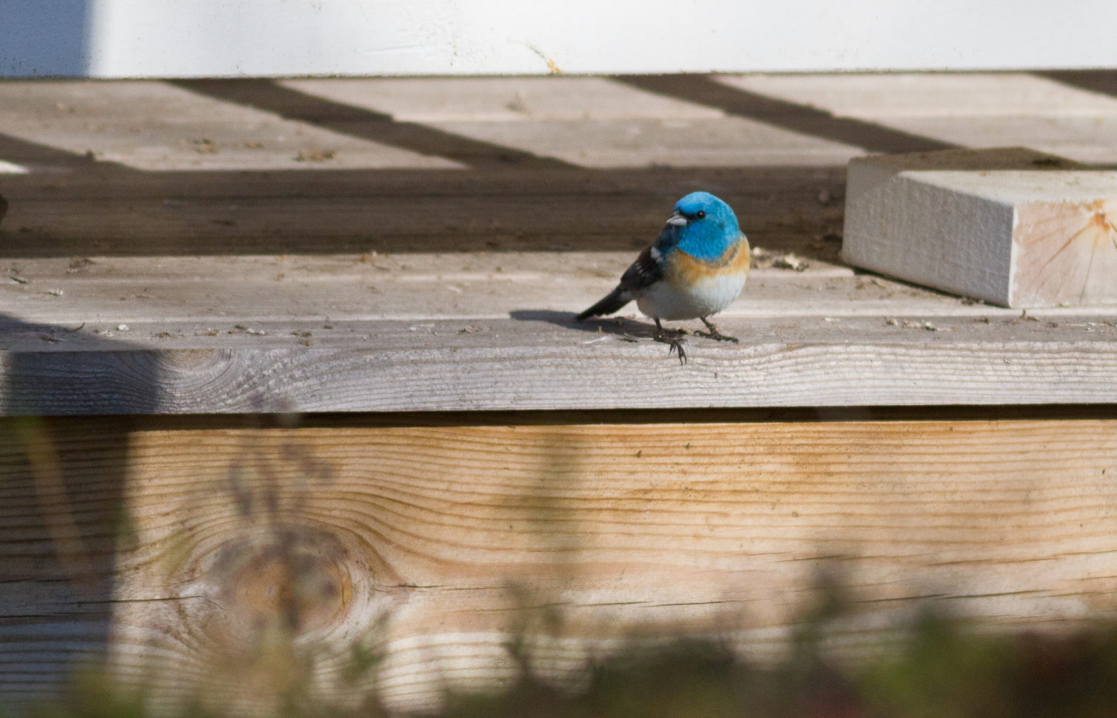 Valokuvaaja: Henrikki Hetemaa