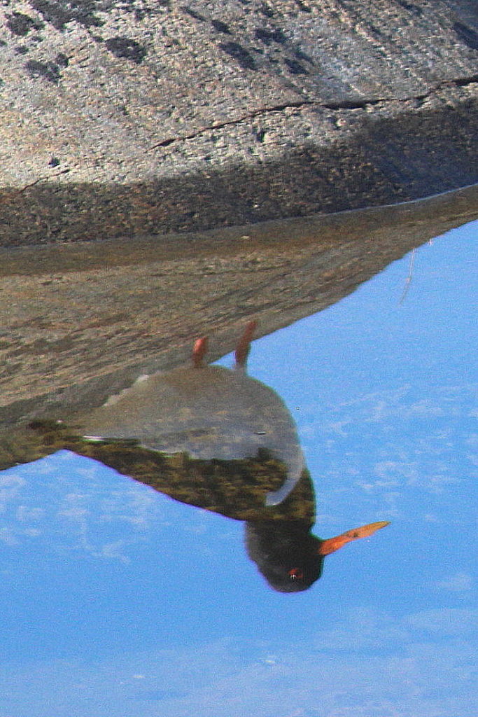 Valokuvaaja: Kirsti Valokuvaaja: Kirsti