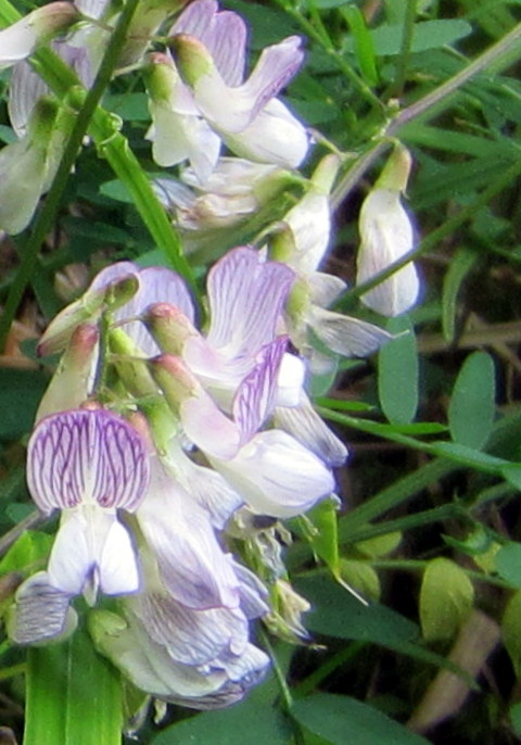 Valokuvaaja: Helena Kauppila