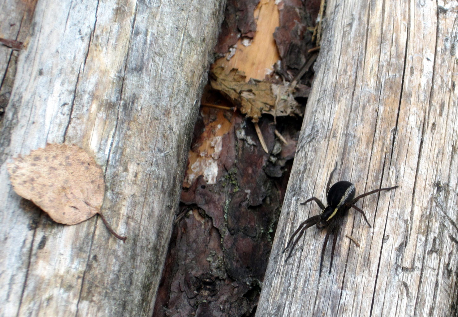 Valokuvaaja: Helena Kauppila