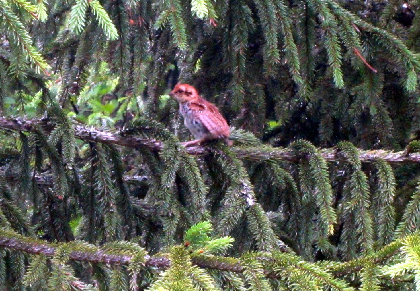 Valokuvaaja: Helena Kauppila