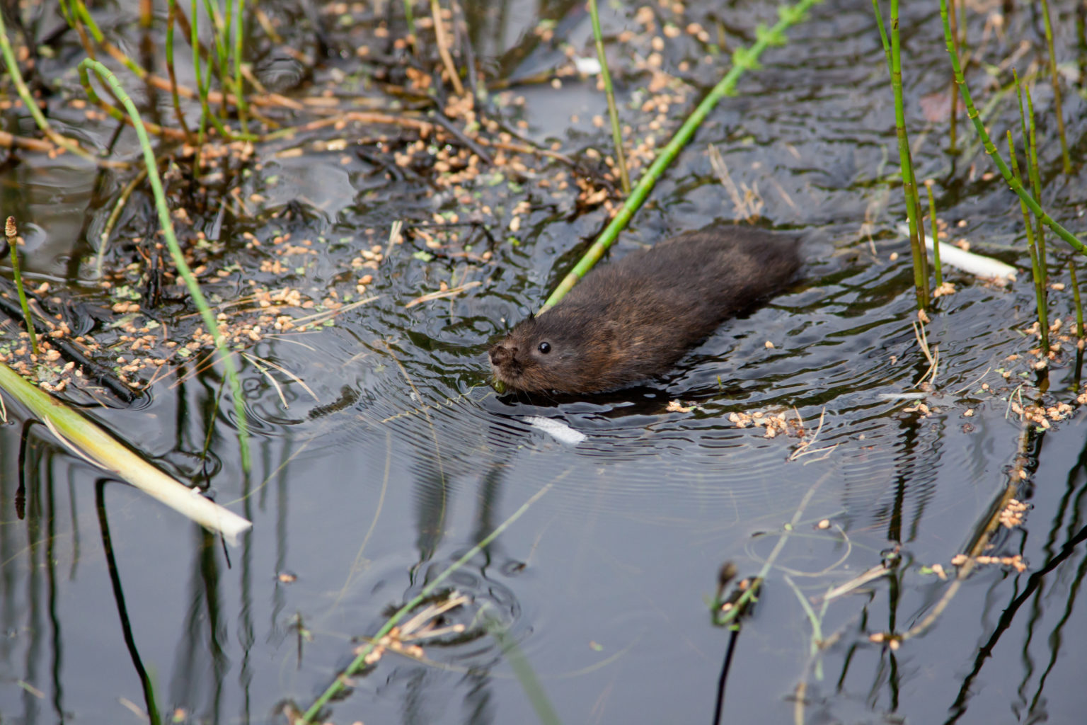 Valokuvaaja: Jarno Mäenpää