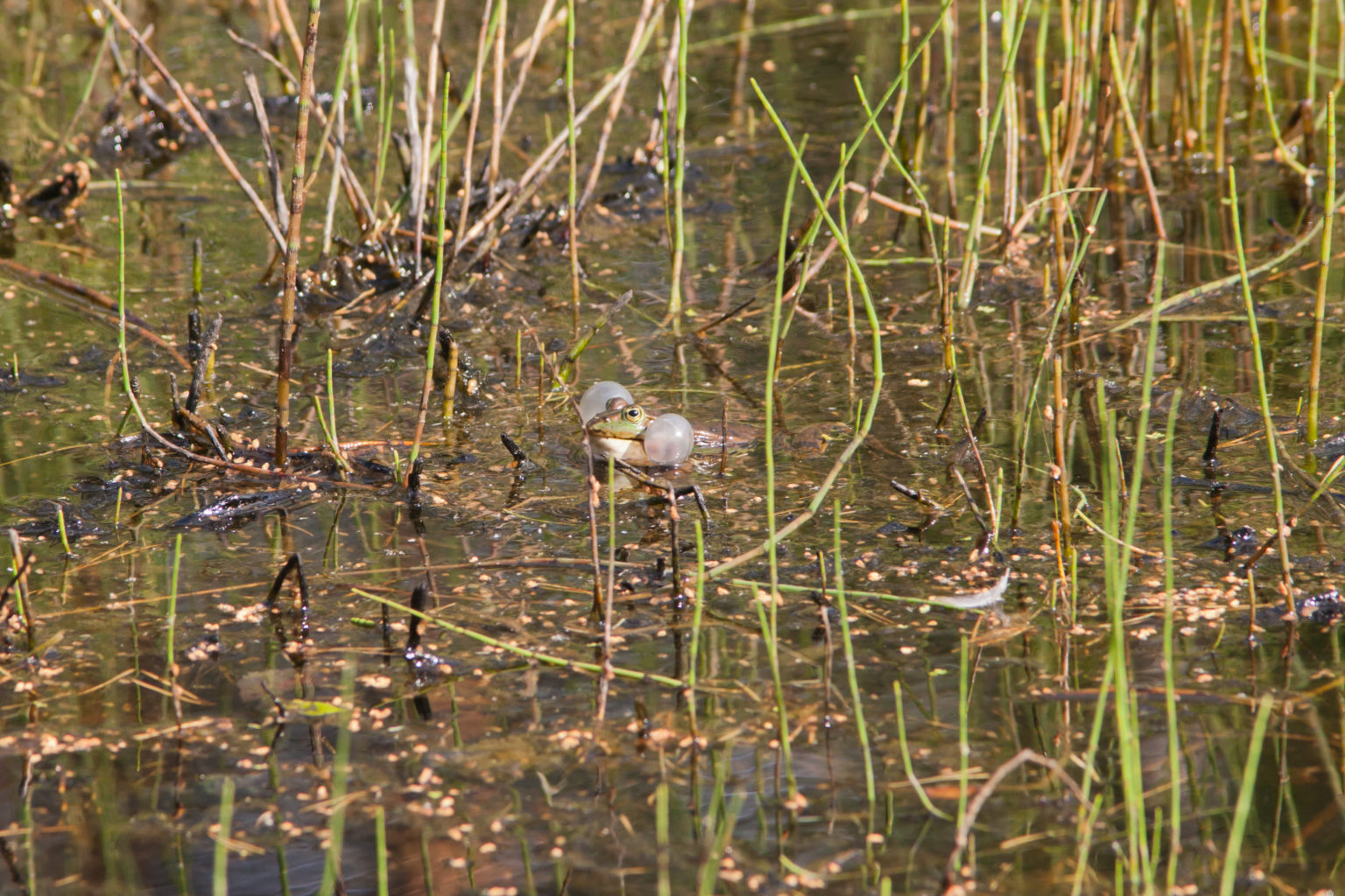 Valokuvaaja: Jarno Mäenpää