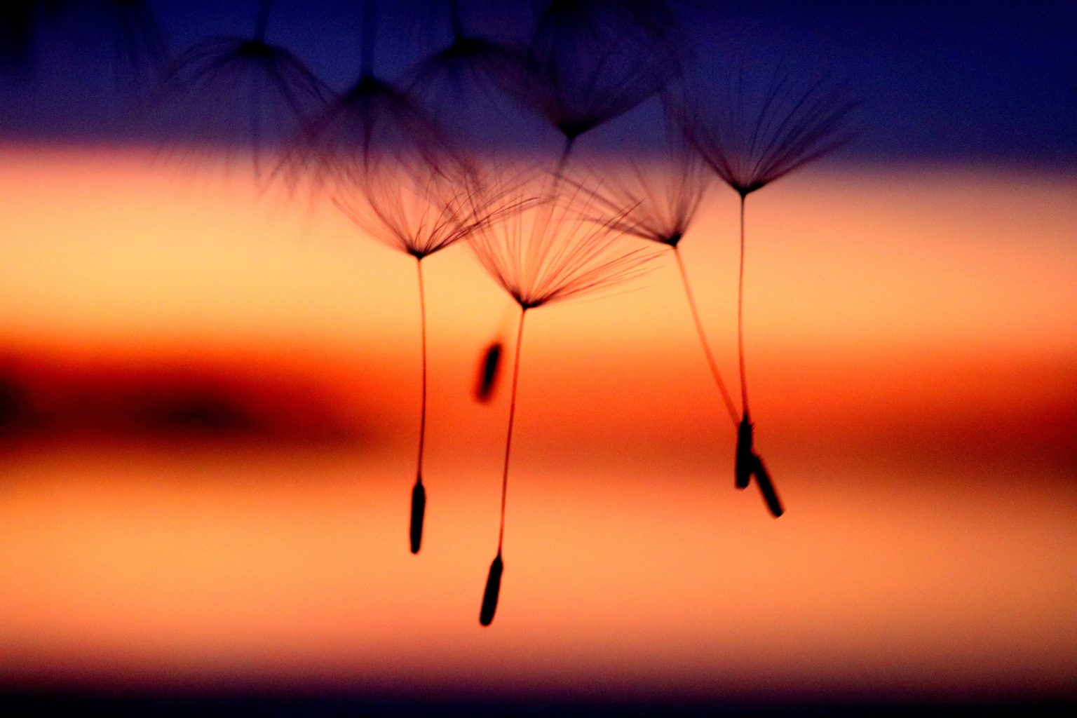 Valokuvaaja: Irja Lehtinen