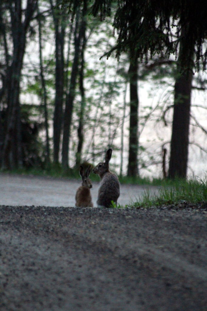 Valokuvaaja: Ville Forss Valokuvaaja: Ville Forss