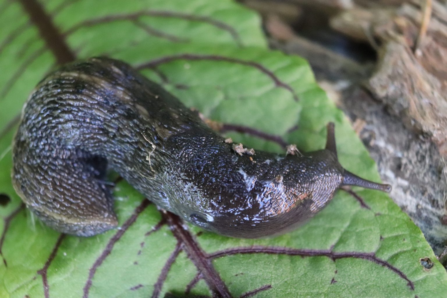 Valokuvaaja: Irja lehtinen