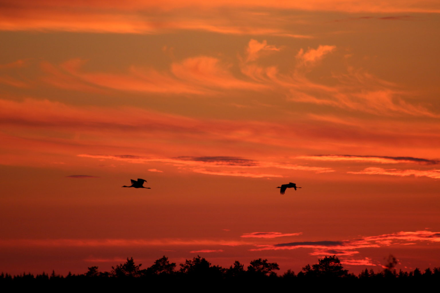 Valokuvaaja: Ville Forss