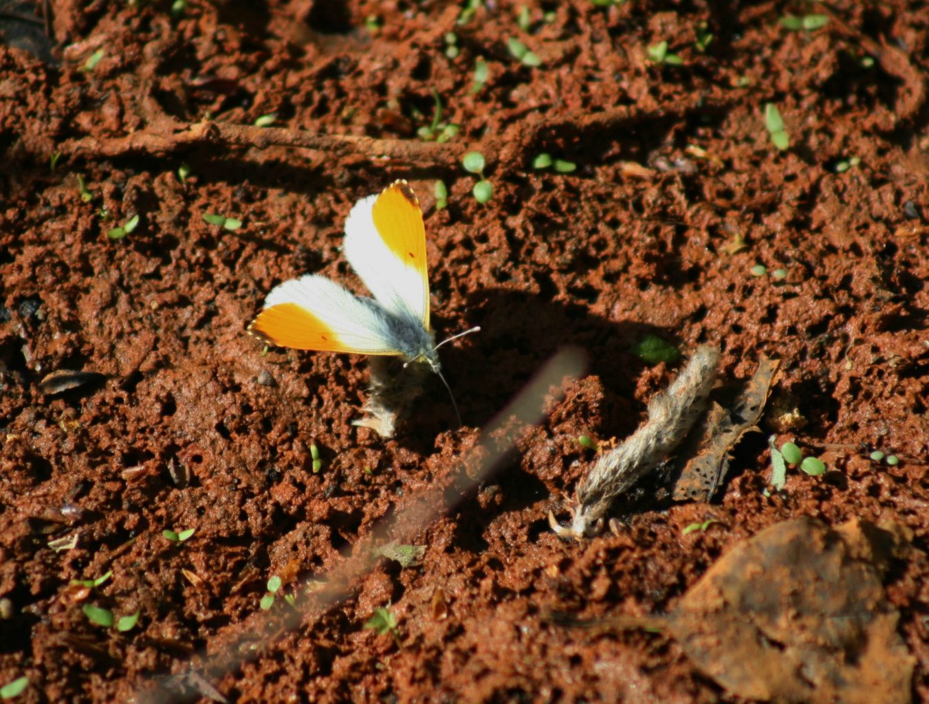 Valokuvaaja: Pirkko Siukonen