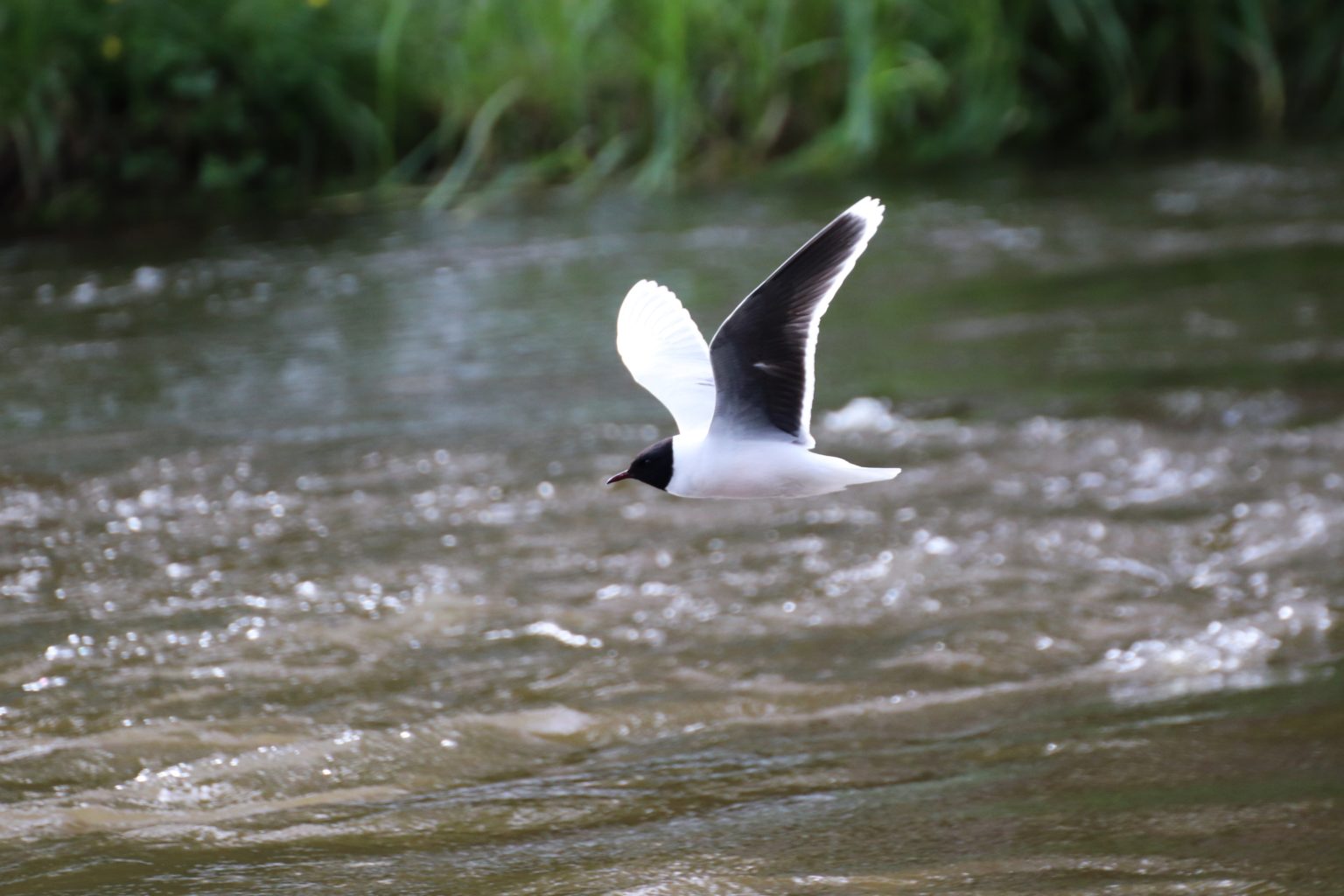 Valokuvaaja: Irja lehtinen