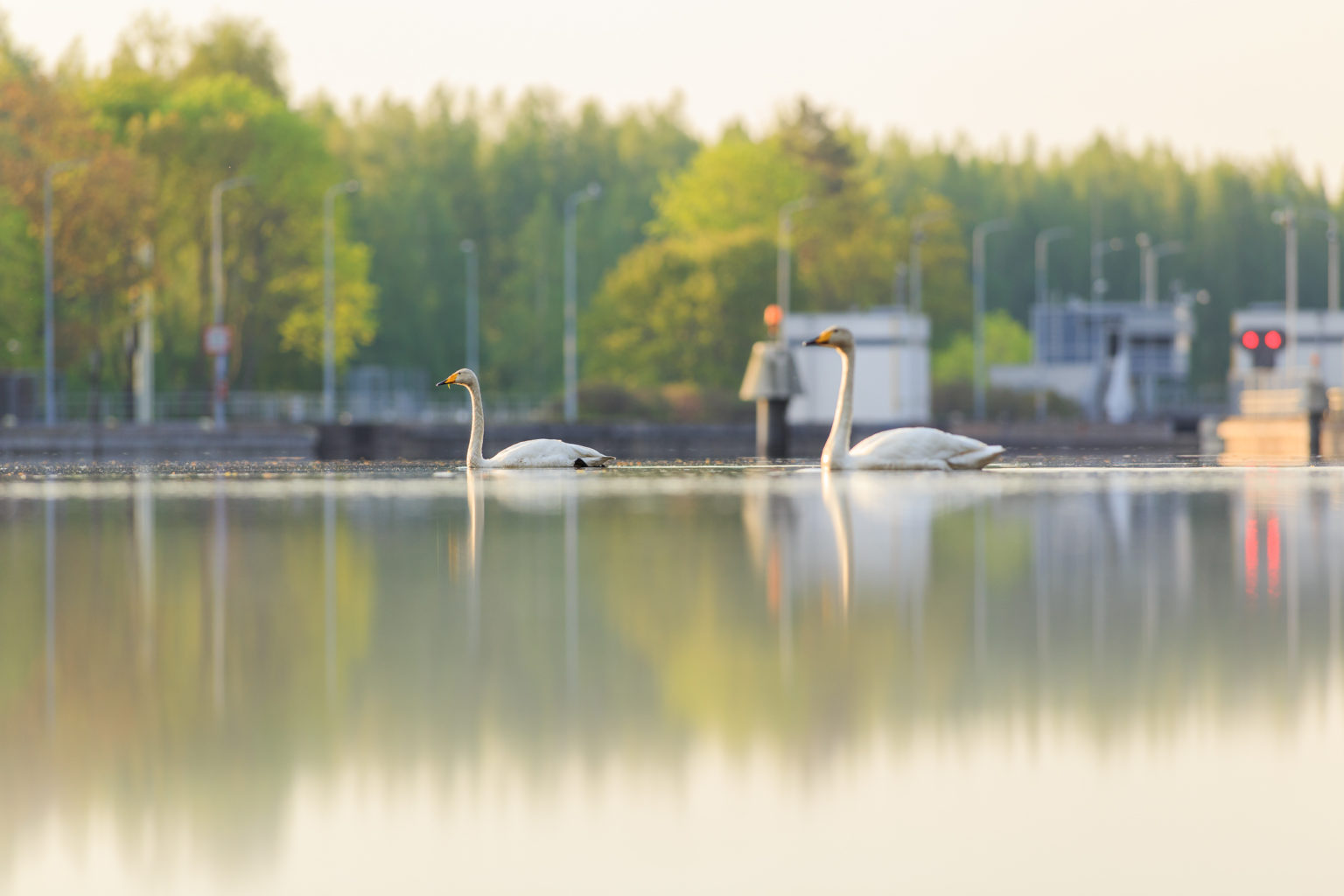 Valokuvaaja: Antti Toivanen