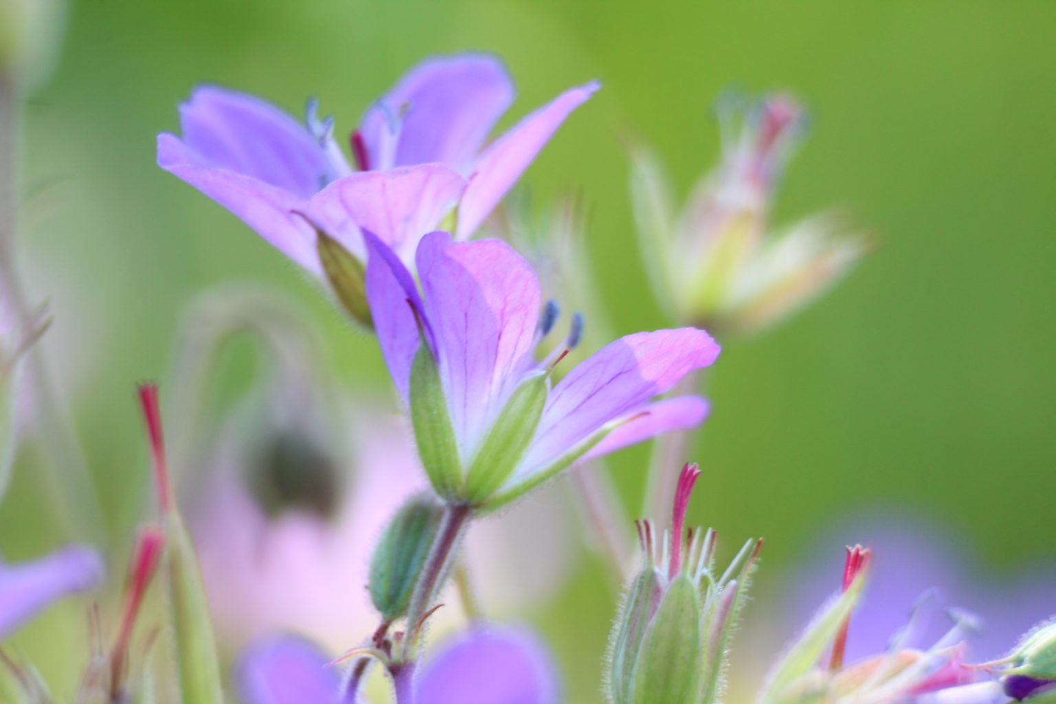 Valokuvaaja: Miia Pesu Valokuvaaja: Miia Pesu