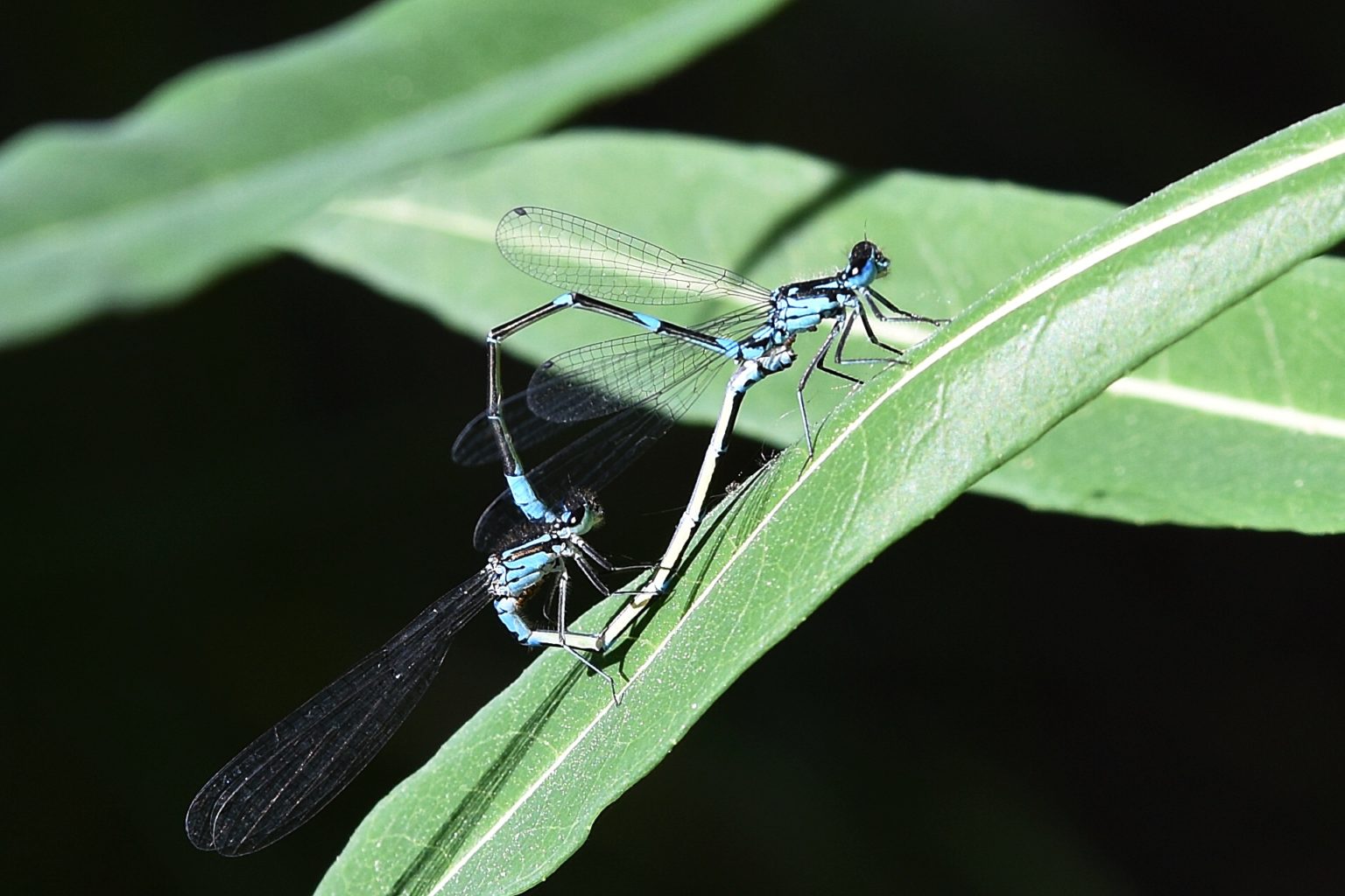 Valokuvaaja: Antti Kaskinen Valokuvaaja: Antti Kaskinen