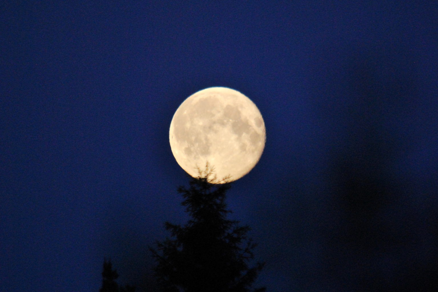 Valokuvaaja: Kalle Asikainen Valokuvaaja: Kalle Asikainen