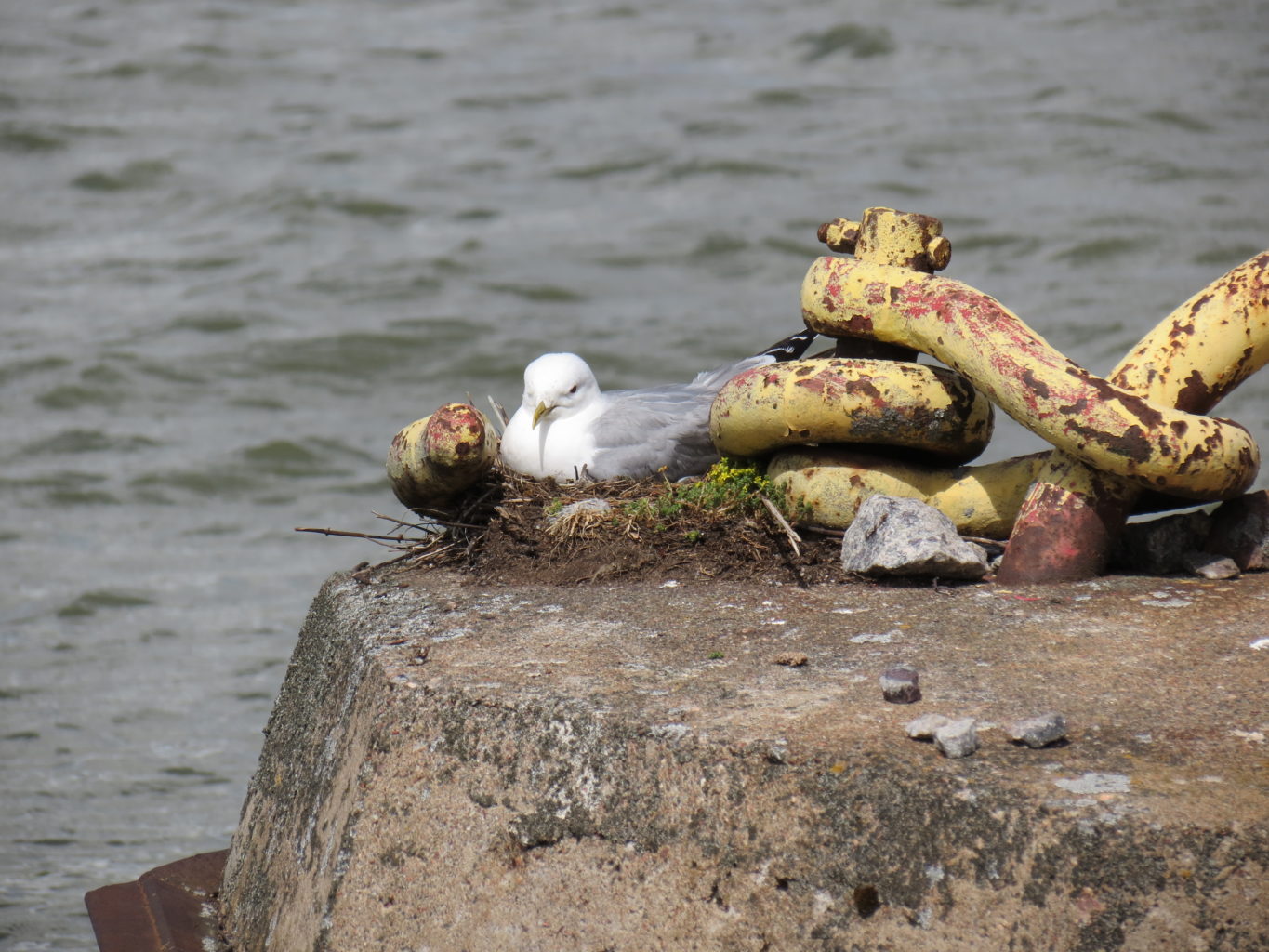 Valokuvaaja: Jukka Rönkä