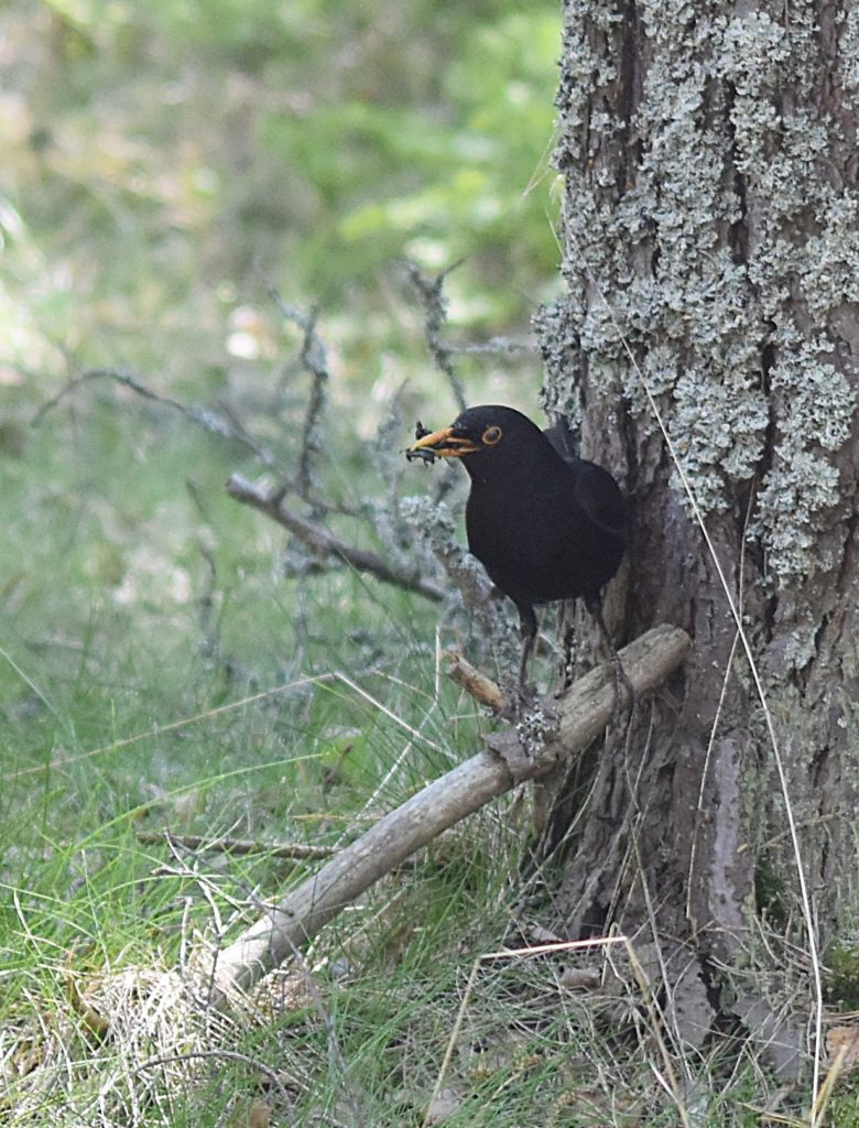 Valokuvaaja: Kati Wink