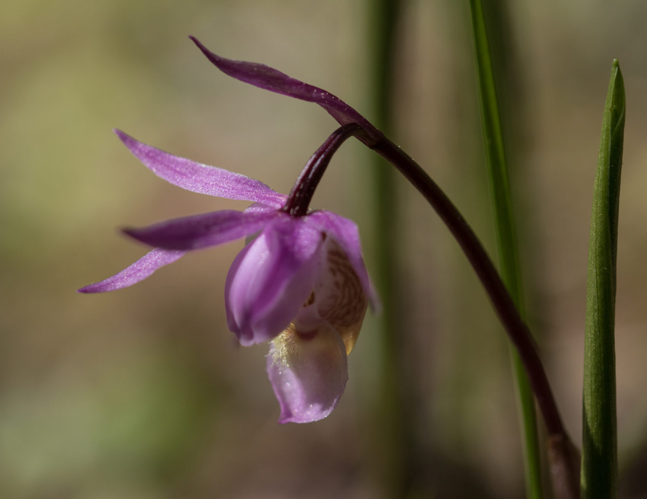Valokuvaaja: Katri Niskanen