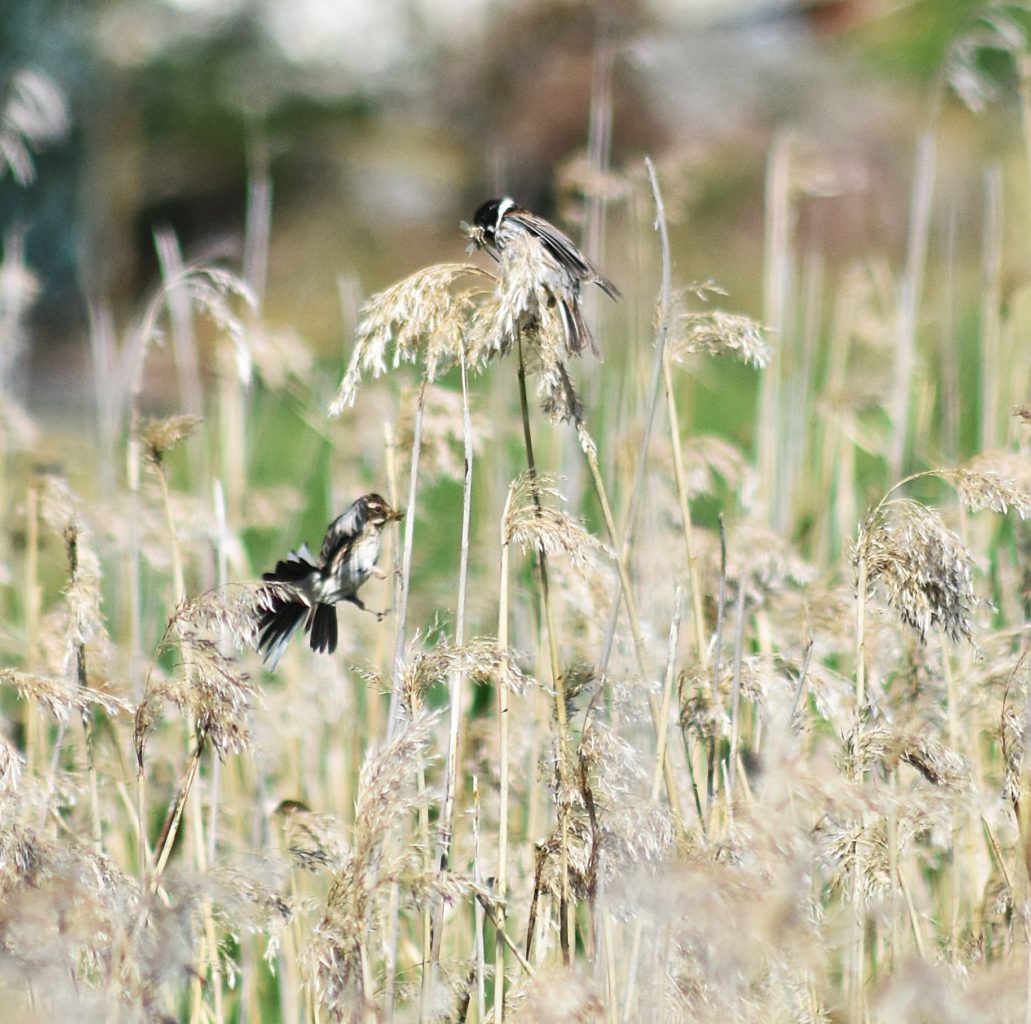 Valokuvaaja: Kati Wink
