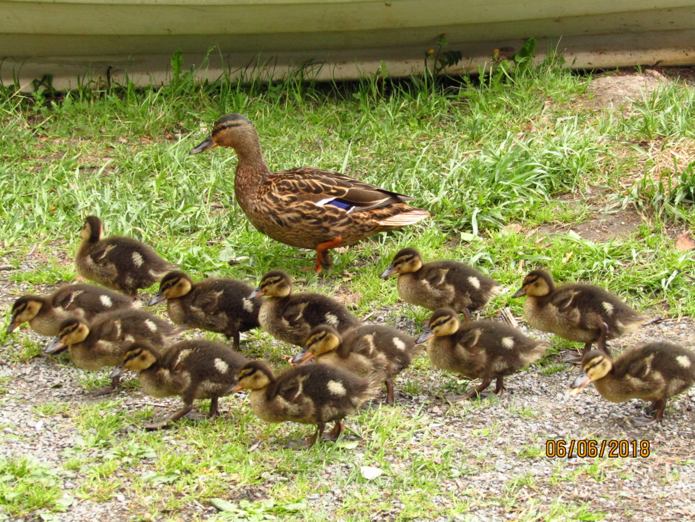 Valokuvaaja: Teija Matikka