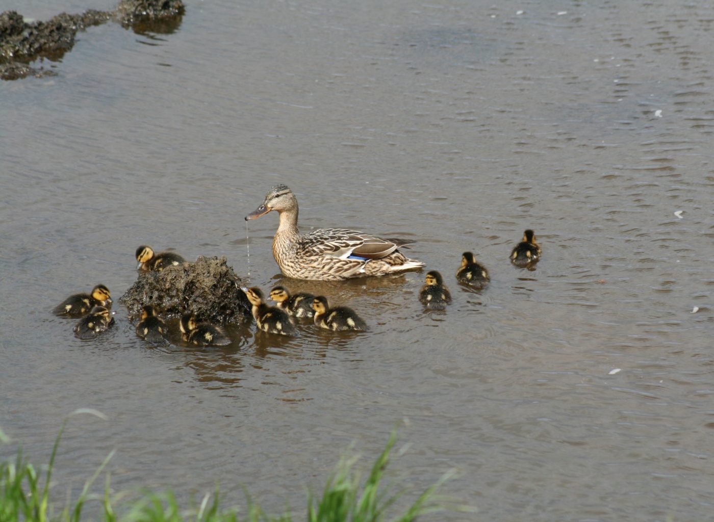 Valokuvaaja: Pirkko Siukonen