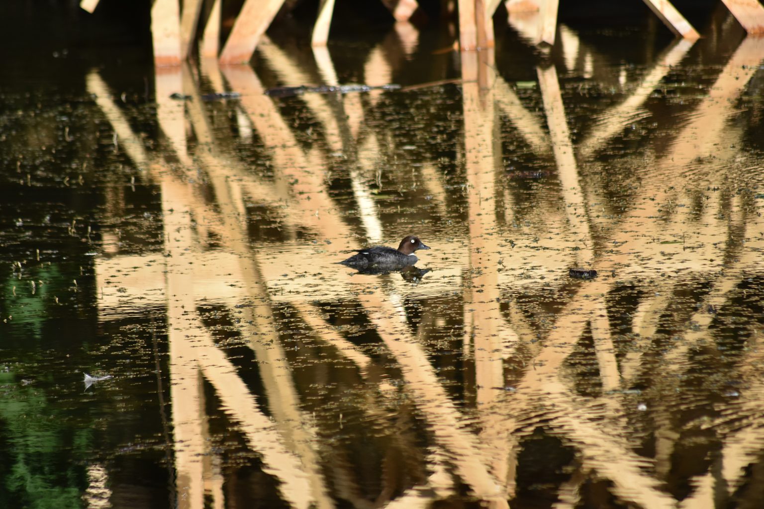 Valokuvaaja: Marko Rantanen