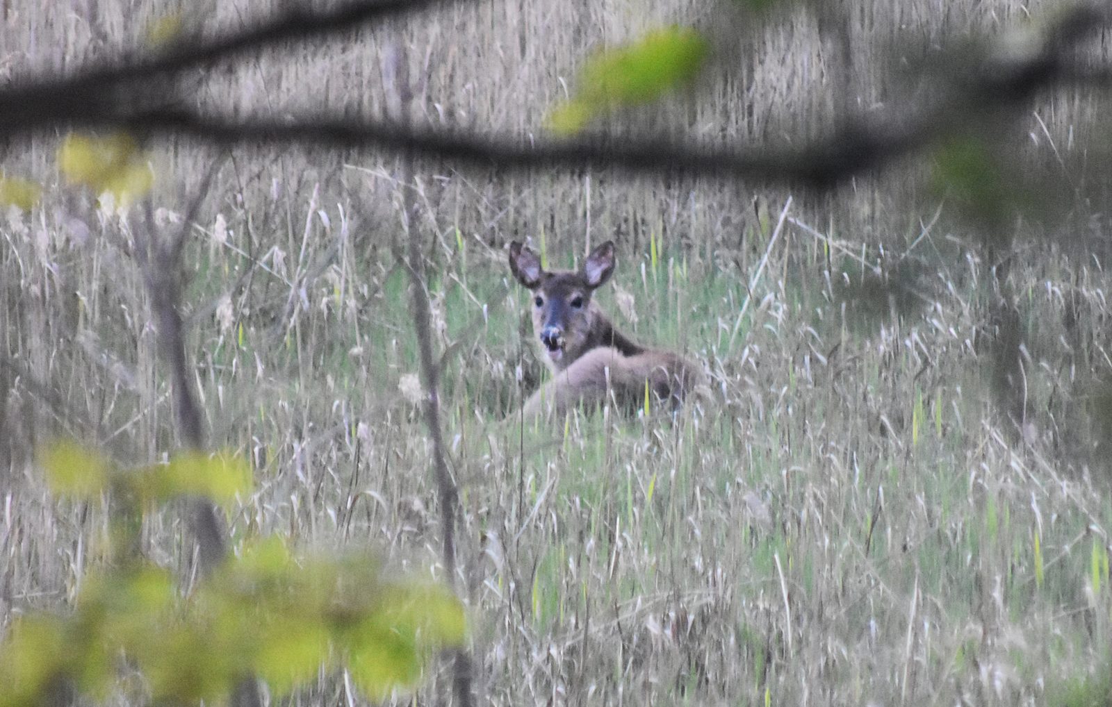 Valokuvaaja: Kati Wink
