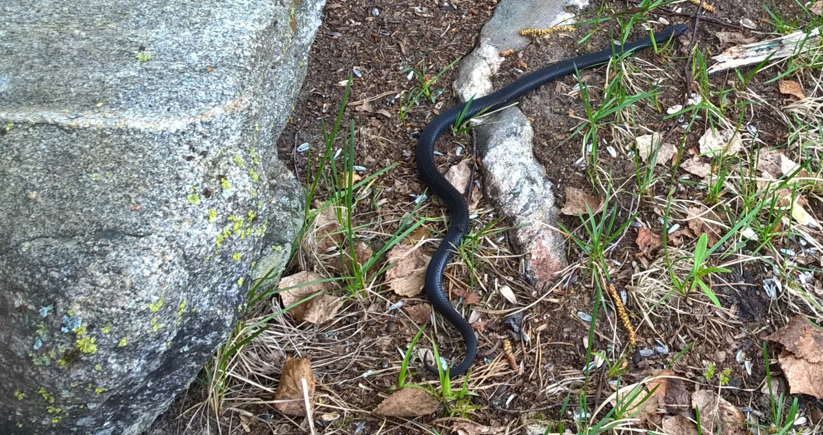 Valokuvaaja: Pekka Termonen