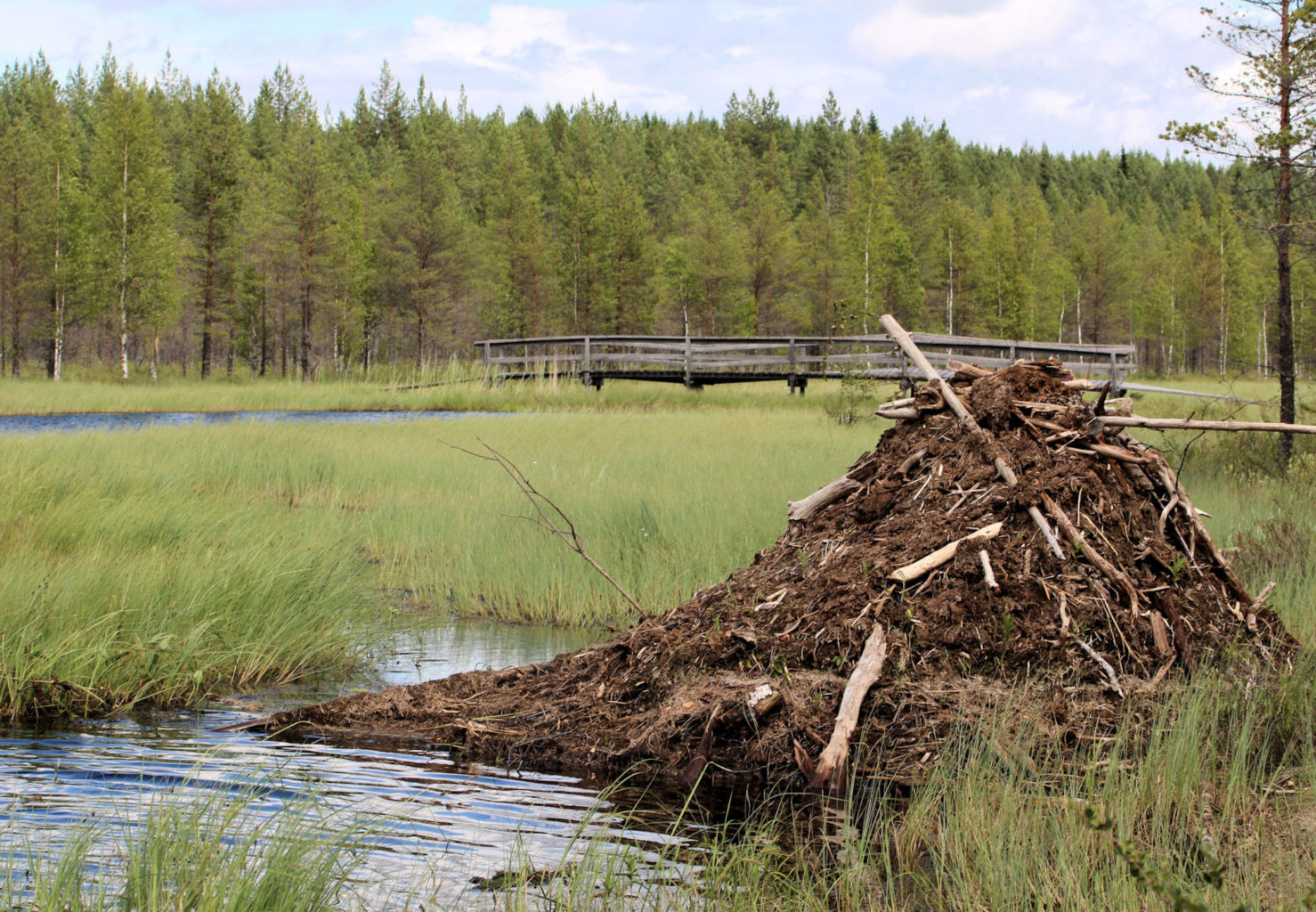 Valokuvaaja: Ahti Keränen